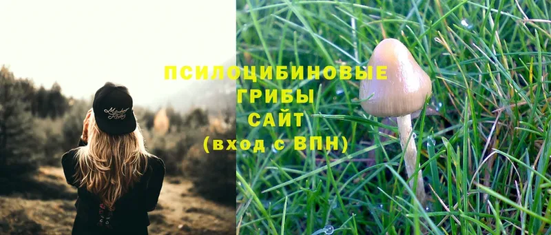 Псилоцибиновые грибы Magic Shrooms  Артёмовск 